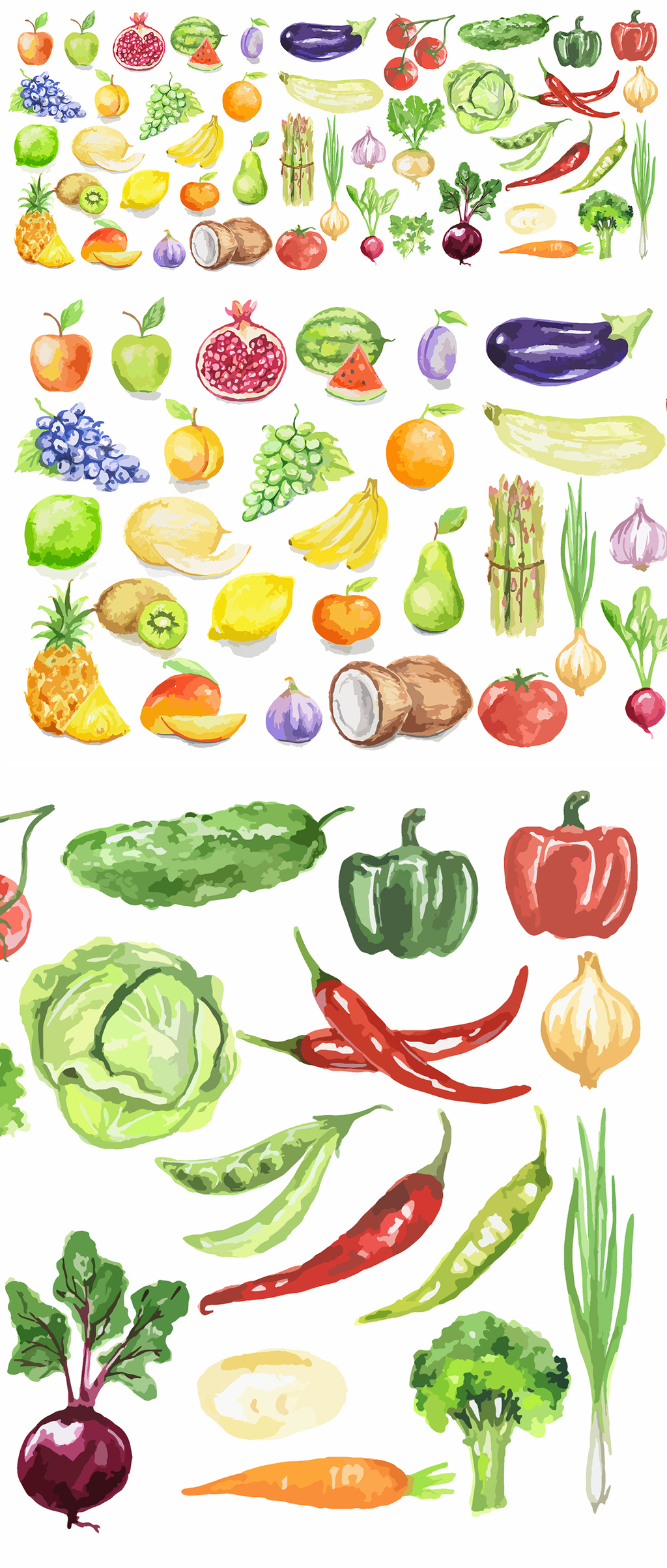 原創水彩暈染手繪水果蔬菜矢量-版權可商用