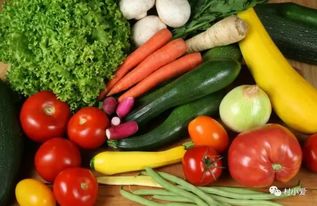 她是90后,用2年時間打造了中國最大農業體驗項目