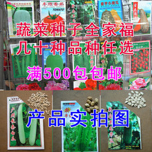 大白瓜價(jià)格_今日最新大白瓜價(jià)格行情走勢 