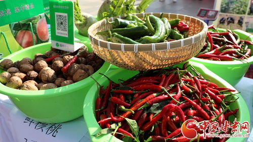 蘭州市西固區(qū)舉辦2024年中國農(nóng)民豐收節(jié)慶祝活動(dòng)