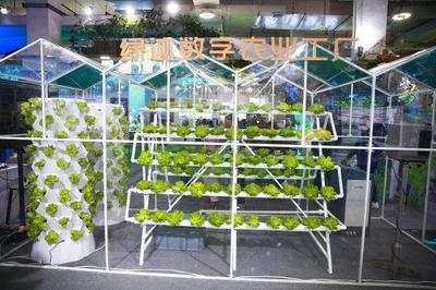 新主體、新技術(shù)、新產(chǎn)品 從今年農(nóng)博會看&ldquo;浙&rdquo;有新能力