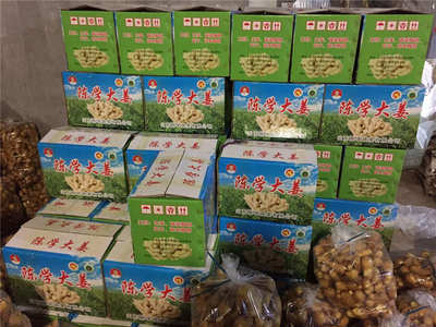 陳學大姜報價_廠家直銷實惠的大姜圖片|陳學大姜報價_廠家直銷實惠的大姜產(chǎn)品圖片由山東陳學蔬菜公司生產(chǎn)提供-