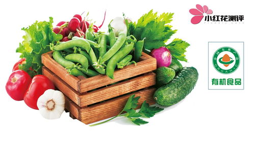 給寶寶吃有機食物值得嗎 用測評數(shù)據(jù)告訴你