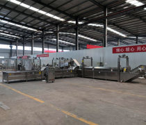 蔬菜殺青漂燙線優(yōu)質商家置頂推薦產(chǎn)品