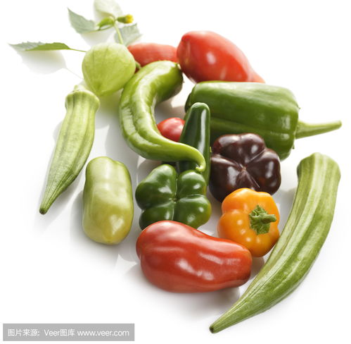 農(nóng)副產(chǎn)品收購助力新鮮蔬菜產(chǎn)業(yè)發(fā)展